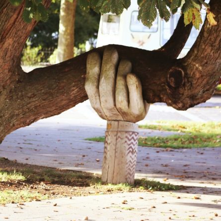 image of a wooden hand supporting a tree branch